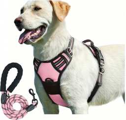 Arnes reflectante para perros de 2 piezas y correa
