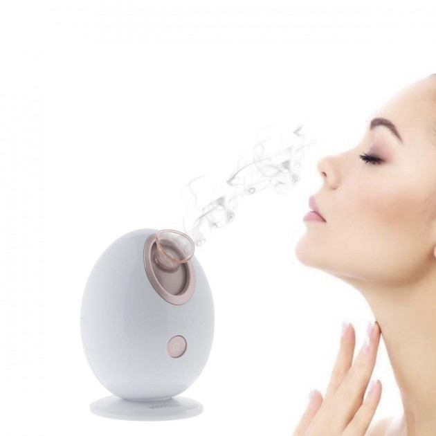 VAPORIZADOR FACIAL