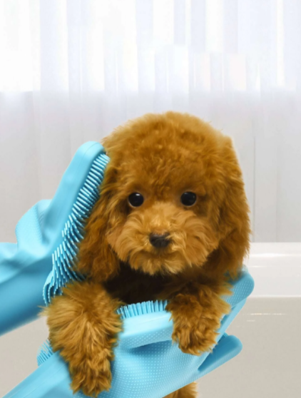 Guante de Baño para Mascotas