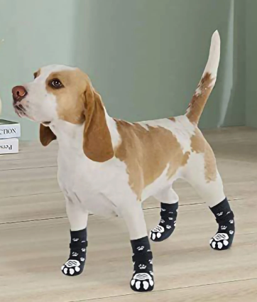 Calcetines con estampado de garra de mascota