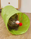 Tunel para gatos de color verde