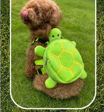 Mochila con diseño de tortuga para Mascota