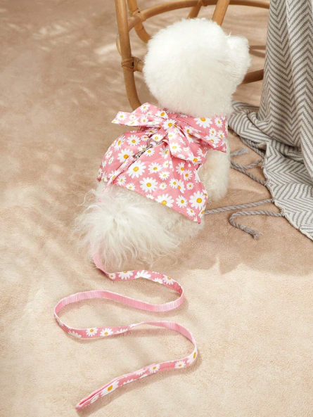 collar y correa para mascotas con lazo de flores en margarita rosa