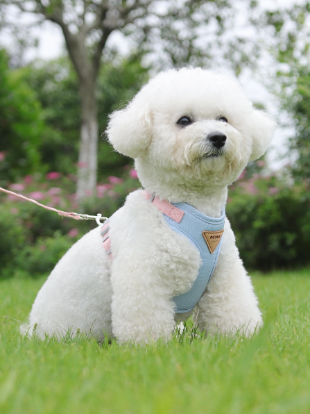 Arnes de poliester ajustable y transpirable en azul, adecuado para gatos y perros