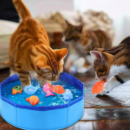 6 piezas Juguete de agua para gatos