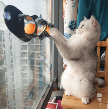 Juguetes para gatos, juguetes de bolas con ventosa para la pared para gatos