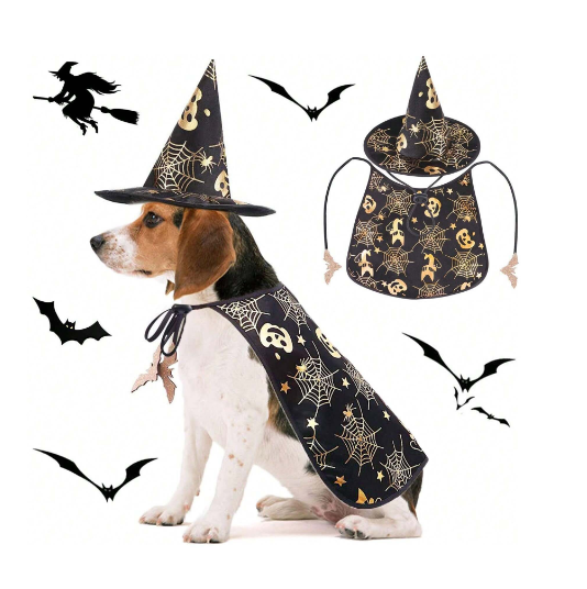 Traje de capa y sombrero de mago de gato y perro para Halloween