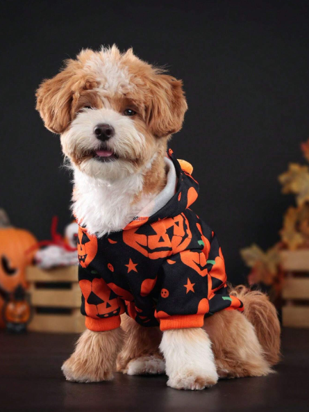 Sudadera con capucha con tematica de calabaza y muñeca de peluche