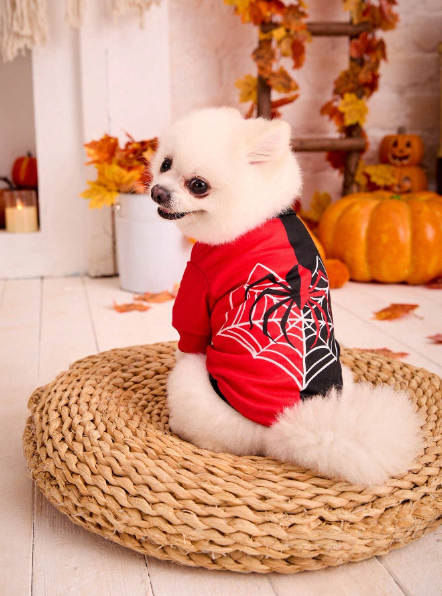 Sudadera con capucha estampada de araña para mascotas