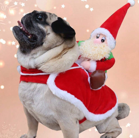 Santa Claus para mascotas, un acogedor y adorable atuendo navideño