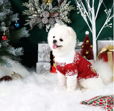 Sudadera con estampado de muñeco de nieve navideño para mascotas