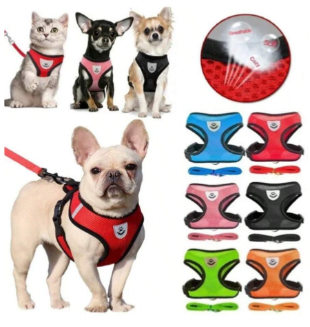 Arnés de chaleco para cachorro o gato con correa