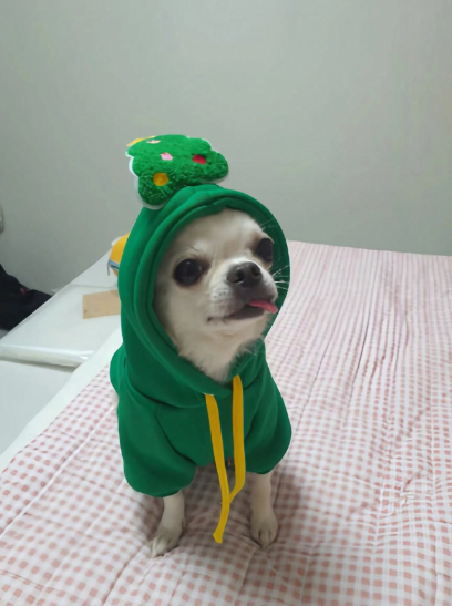 Trajecito de Arbol de Navidad