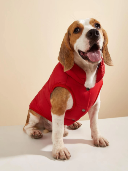 Capucha Cazadora unicolor de mascota