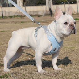 Arnés para mascotas con mariposa en forma de SKU