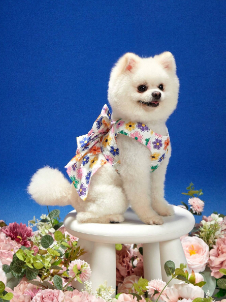 collar y correa para mascotas con estampado de flores coloridas y lazo lindo para actividades al aire libre