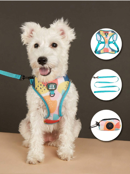 Set de 3 piezas con diseño adorable de arnes y correa ajustable de lujo con soporte para bolsa de desechos