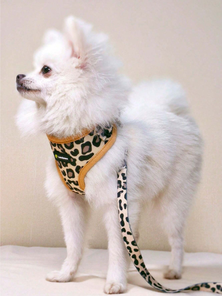 Collar de malla transpirable con transferencia de calor, arnes, correa, pañuelo triangular, moño, bolsa de premios