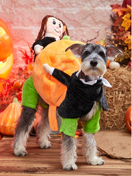 Disfraz de calabaza de Halloween para perro