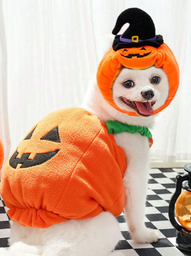 Ropa y sombreros divertidos de calabaza de Halloween para mascotas gatos y perros