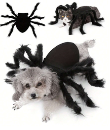 Disfraz de araña de Halloween para mascotas