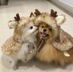 Disfraz De Reno Con Manchas Marron Para Gatos Y Perros Con Gorro De Navidad