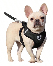 [sp2311261997726330] Arnes para mascotas Negro